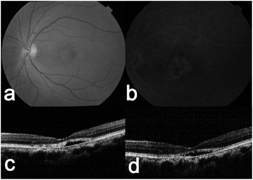 shop creep tests on gfrp pultruded specimens subjected to traction