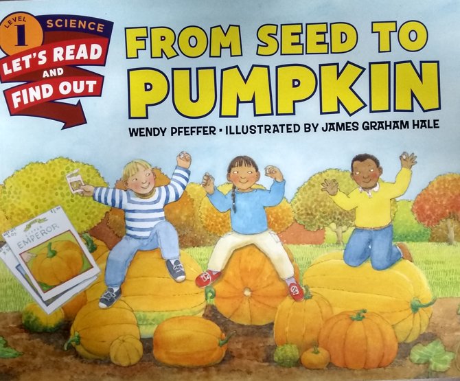 btbsls's tweet photo. Pumpkins...waiting in the Autumn sun. (KT01659 From Pumpkin to Seed)  https://t.co/jk4h8Fef8o #btsls @Kgarcia435 https://t.co/lCeDjwuh5B