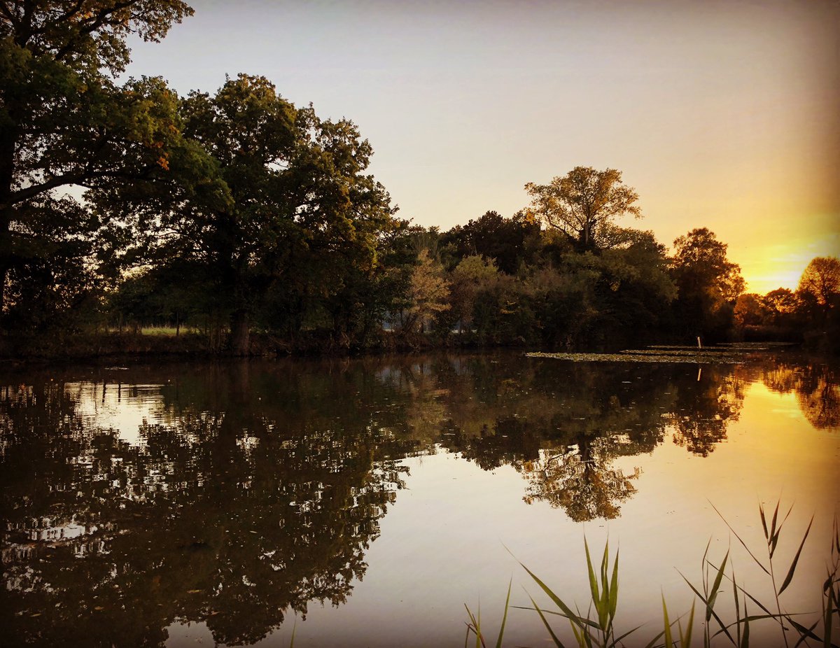 aroundthehouses's tweet photo. Don’t take a picture because you feel you have to. Take a picture when it feels right! #time #patience #photography #therighttime #therightplace #afeeling https://t.co/69hpCZuirP