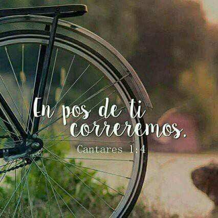 Fuera de ti, nada podremos hacer.
Feliz día que Dios les bendiga.