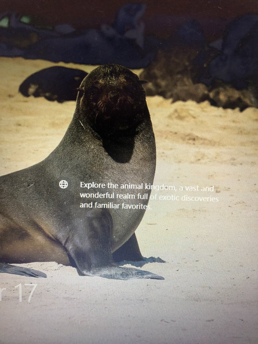 AlbeHarlow's tweet photo. The animal kingdom, “exotic discoveries and familiar favorites,” plucked for your enjoyment and commodification, like lunchables, Pokémon, sitcom episodes, etc. – Microsoft and company https://t.co/AAiM07mIH7