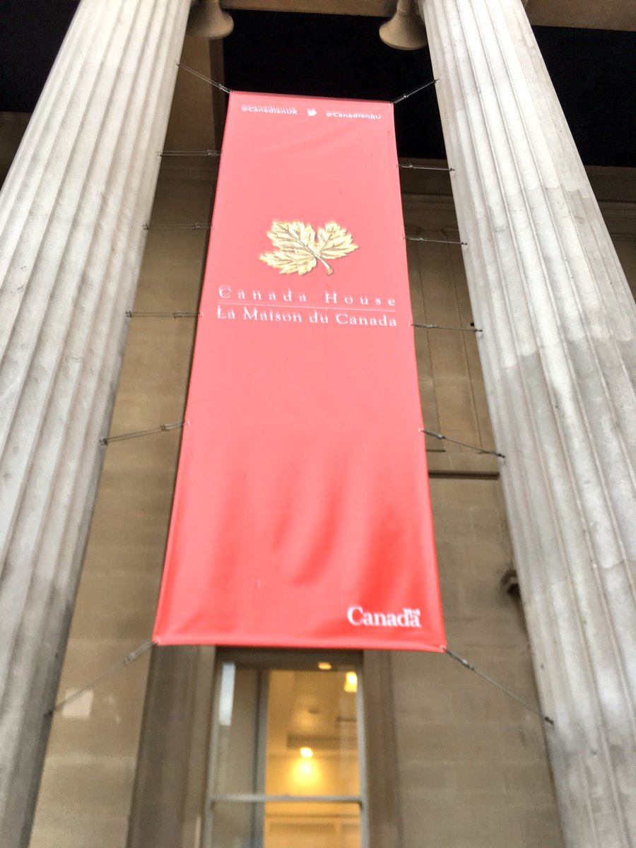 Isabella Bertani 💫 tweet media