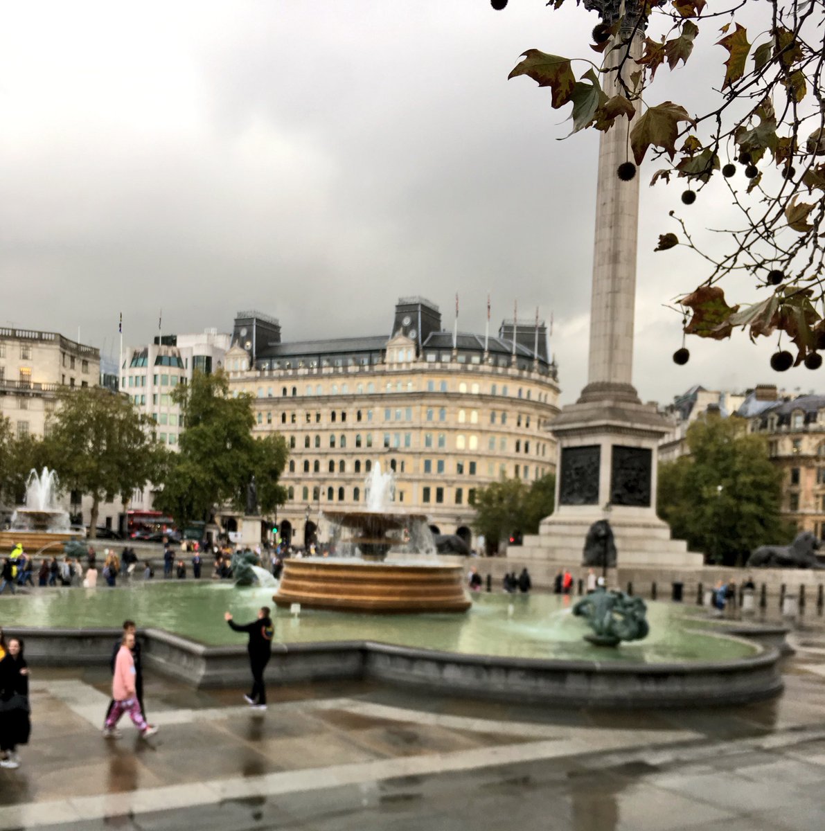 Isabella Bertani 💫 tweet media