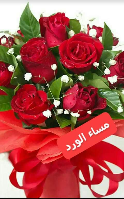 massaub20152016's tweet photo. مساء الانوار للغاليين https://t.co/EREUjCmIL9
