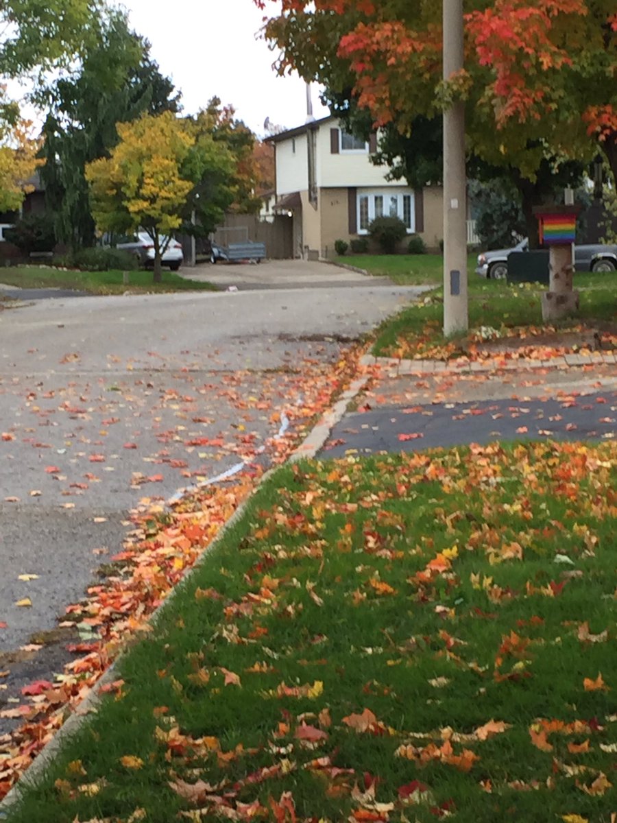 kimeckel2018's tweet photo. A really chilly day, but so appreciative to meet more and more people in Ward 3! Great to meet Cynthia and neighbours on Mayview Cres and Crt. Let’s all vote Monday! #wrvotes2018 #wrvotes https://t.co/vBBhNTwvK5