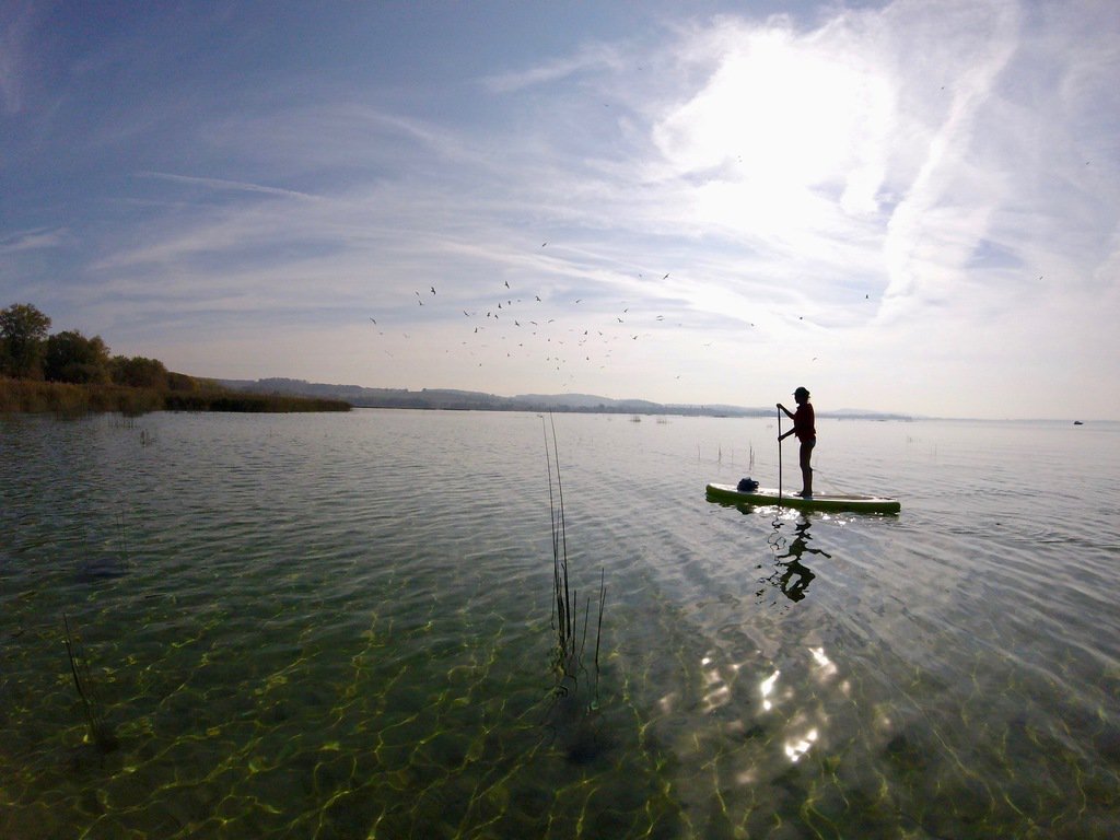 rain l. had a #paddleboarding session in Sugiez , Switzerland. Pictures here: suptrotters.com/en/activities/… #suptrotters