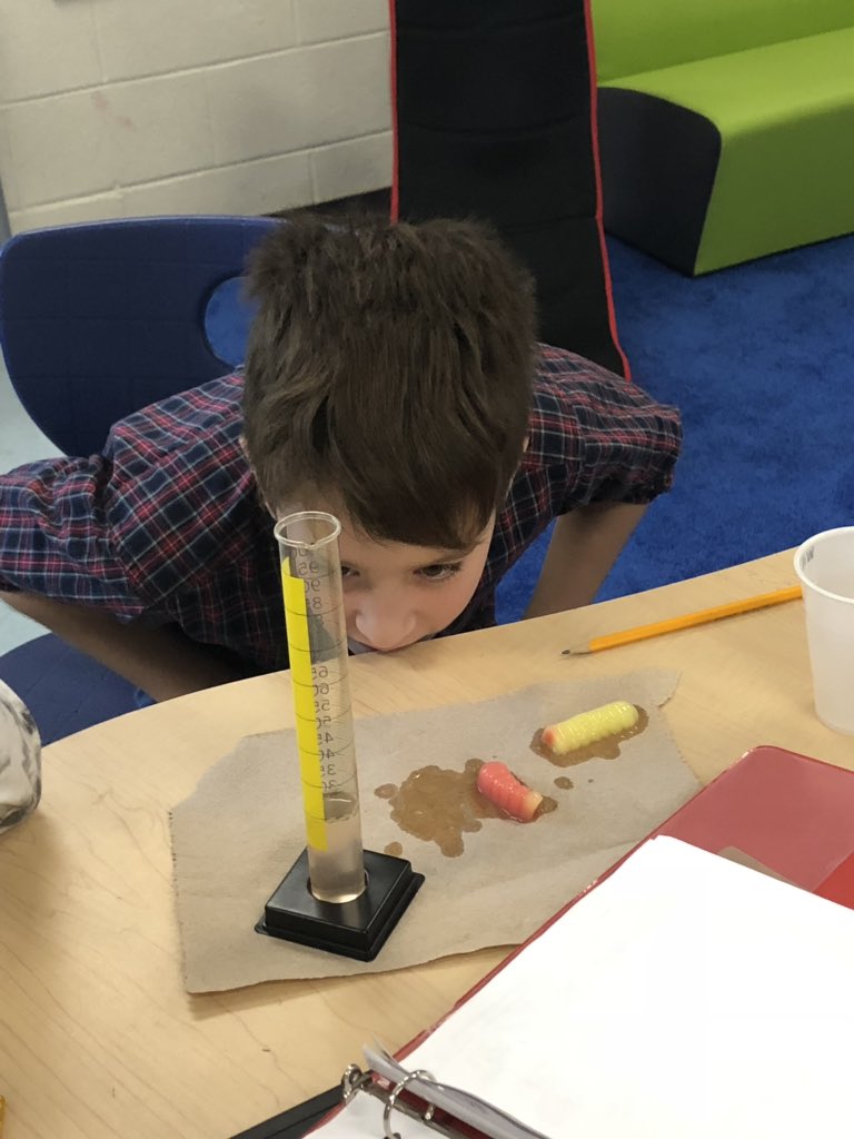 GeckosJE's tweet image. @GreerElementary Ss wonder does water affect regular gummy worms the same way as neon gummy worms?  #scientistsatwork #curiousstudents #scientificmethod @k12albemarle