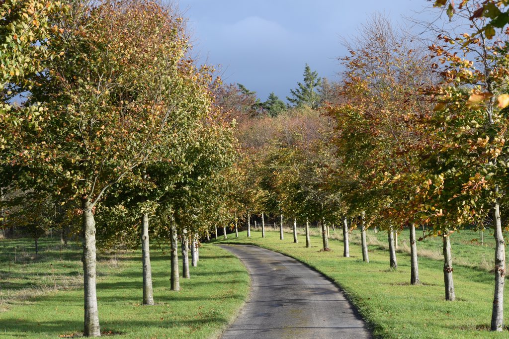 Autumn 🍂 at Townley Hall