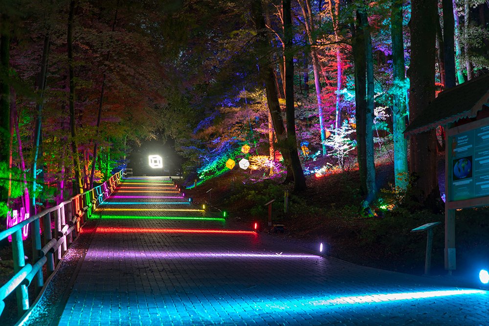 Noch bis zum kommenden Sonntag, den 21.10.2018 ist täglich von 18.30 Uhr bis 22 Uhr ✅ das HERBSTLEUCHTEN IM EIFELPARK zu bestaunen.
Alle Infos: eifelpark.com/herbstleuchten/
#deinperfektertag #herbstleuchten #herbstimeifelpark #Herbst