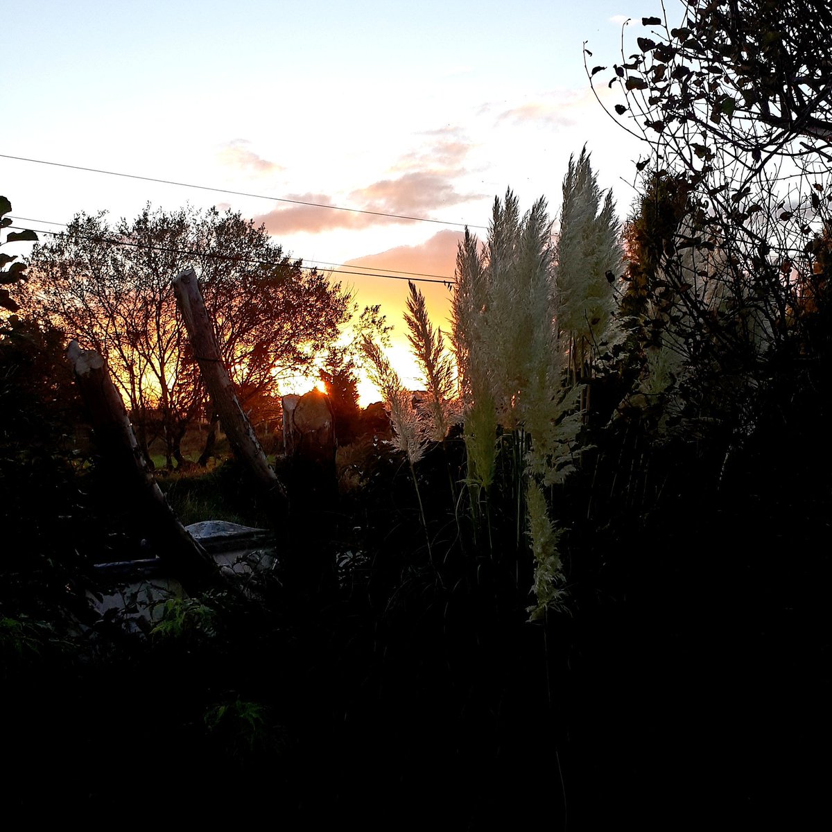 Beautiful sky in Brackloon this evening ❤❤❤