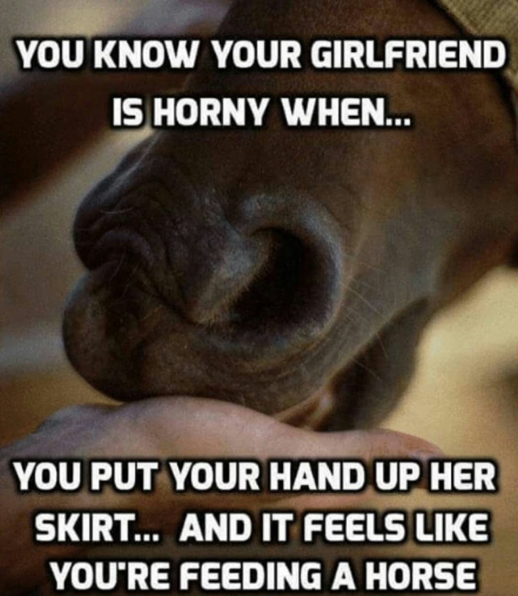 BuzzCulture's tweet image. Definitely...

#Funny #HowToTell #FunTimes #HumpDay