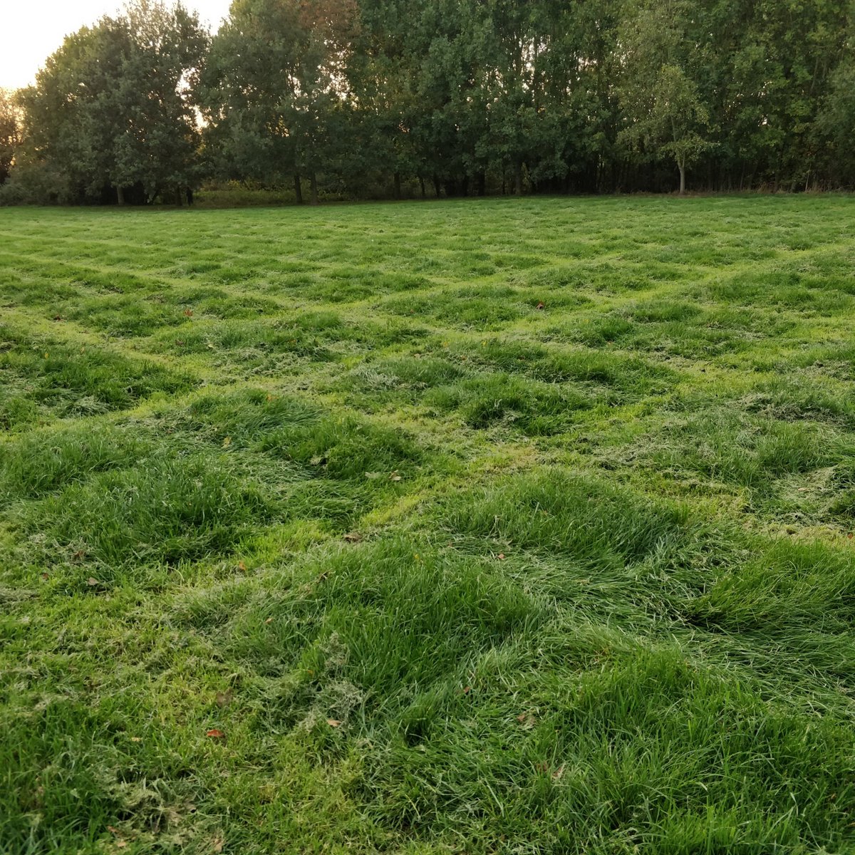 Hammerhance's tweet image. Absolutely awful attempt to mow the communal green in #Edingale @Lichfield_DC - Who is the contractor?  #giantchessboard #theyhadonejob #mowerfail #workerfail