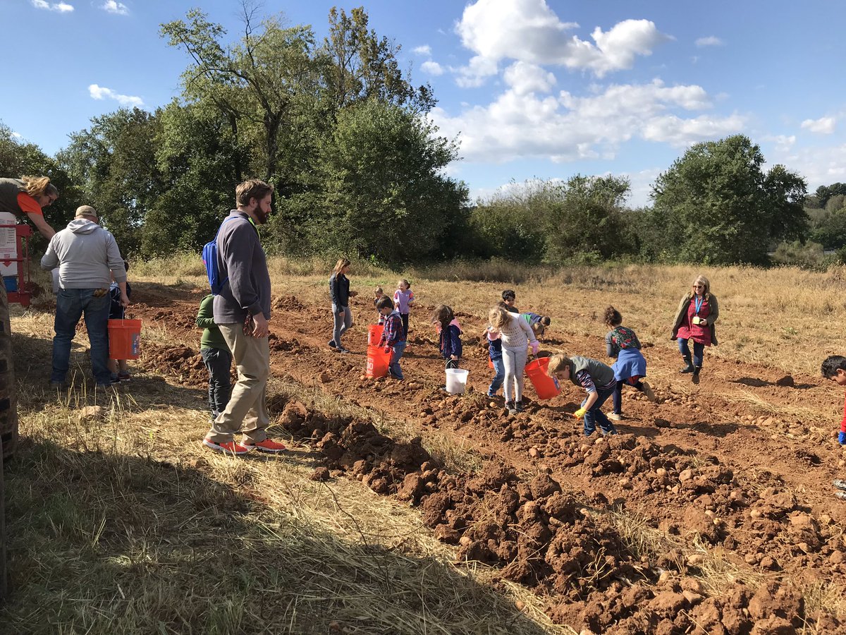 Walking field trip today during specials. Potato picking. So fun!! <a href="/SparksES_BCPS/">Sparks ES</a> <a href="/malvarez3333/">Meredith Alvarez</a> <a href="/ken_dunaway/">Ken Dunaway</a>