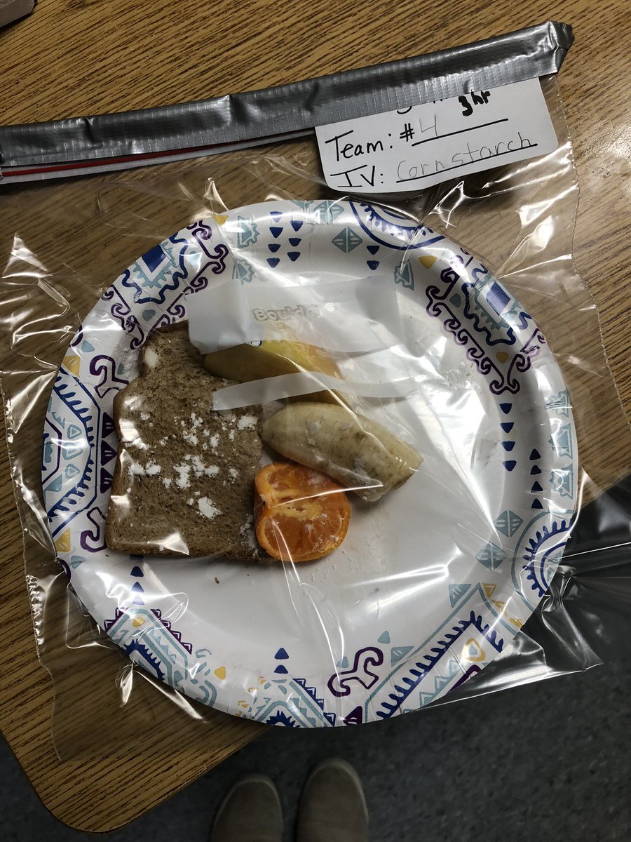 mrslang5sci's tweet photo. Investigating decomposers in our ecosystems #5thgrade #Science https://t.co/MV4L5bJ8H6