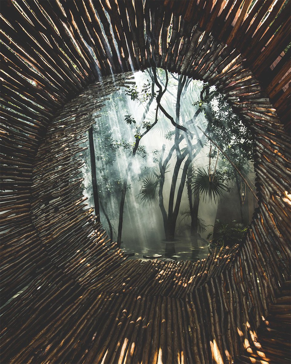 Azulikofficial's tweet photo. On the other side there is a story that is waiting to be told. The mystery that seeks to be unveiled.
.
.
#azulik #azuliktulum #nature #trees #treehouse #caribbean #tulum #tulummexico #mexico #jungle #architecture #mayaspatulum #mystery https://t.co/hkzLjN2SGL