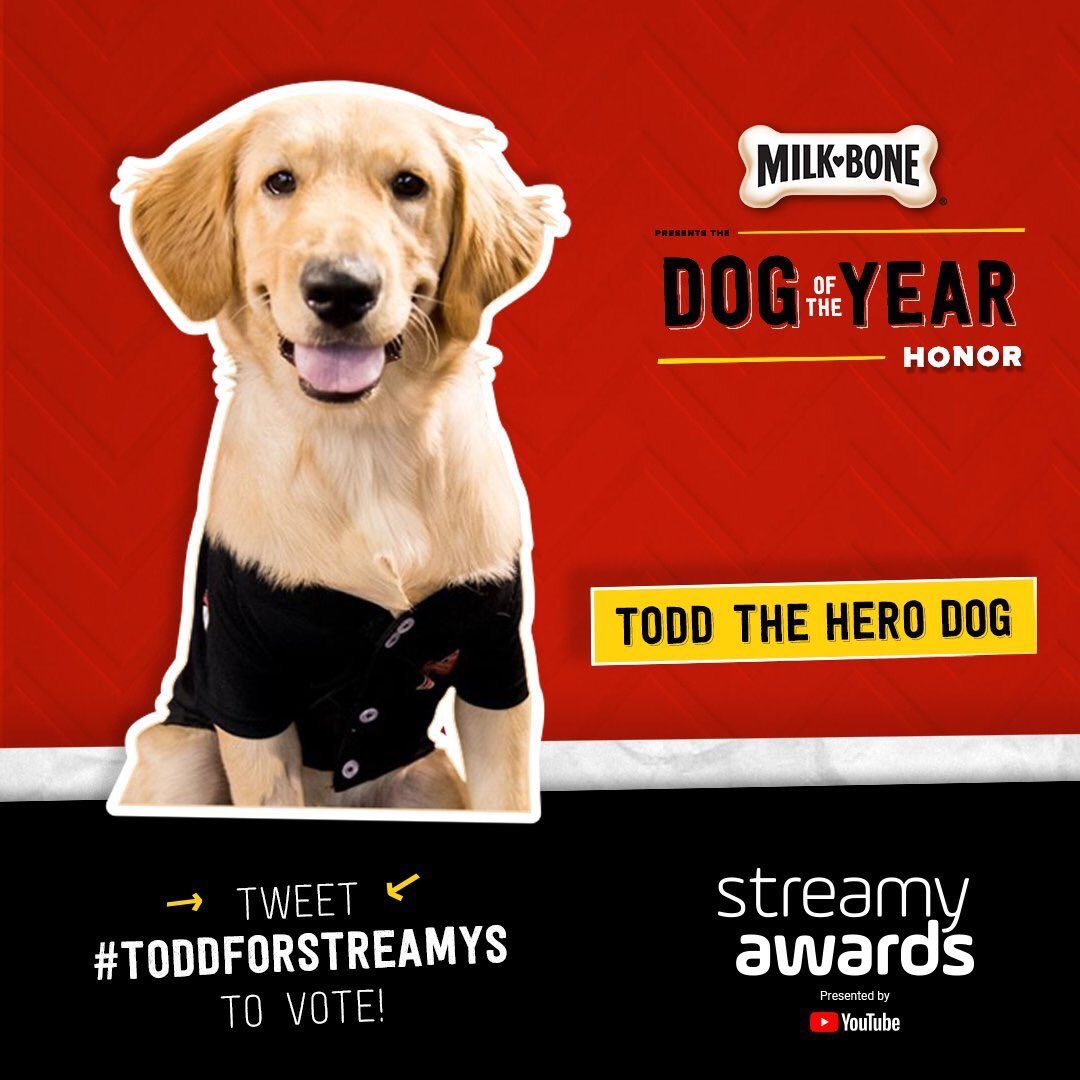 llmcasland69's tweet photo. #ToddforStreamys https://t.co/UufXNJXLEP