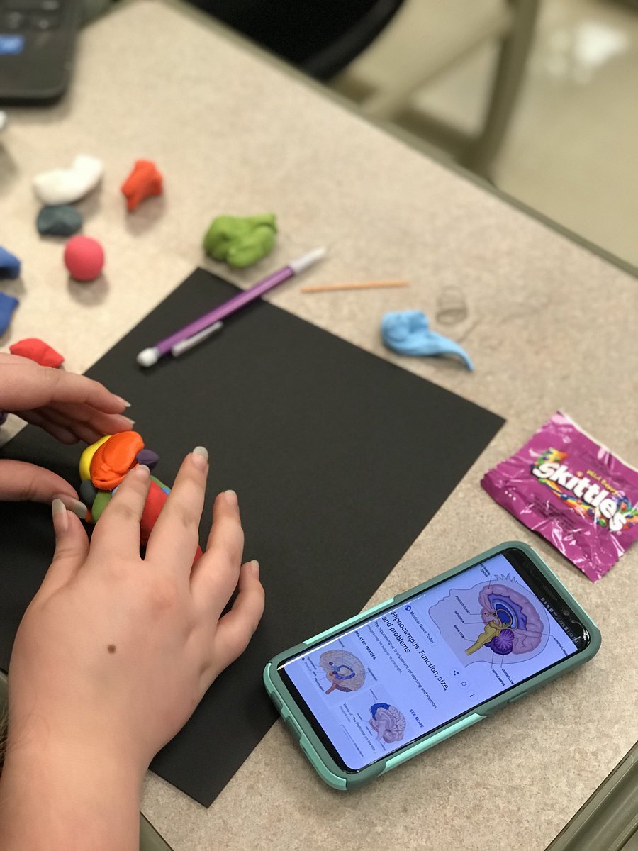 Pinchbecklib's tweet photo. Brain stem build-out for AP Psych students in Mrs. Burks’ class @PowhatanHS. It’s harder than you think to build and identify a 3D brain from 2D hemisphere images. #makersarelearners @makerbot @Crayola model magic @PCPS2S https://t.co/uZGO32aJY2