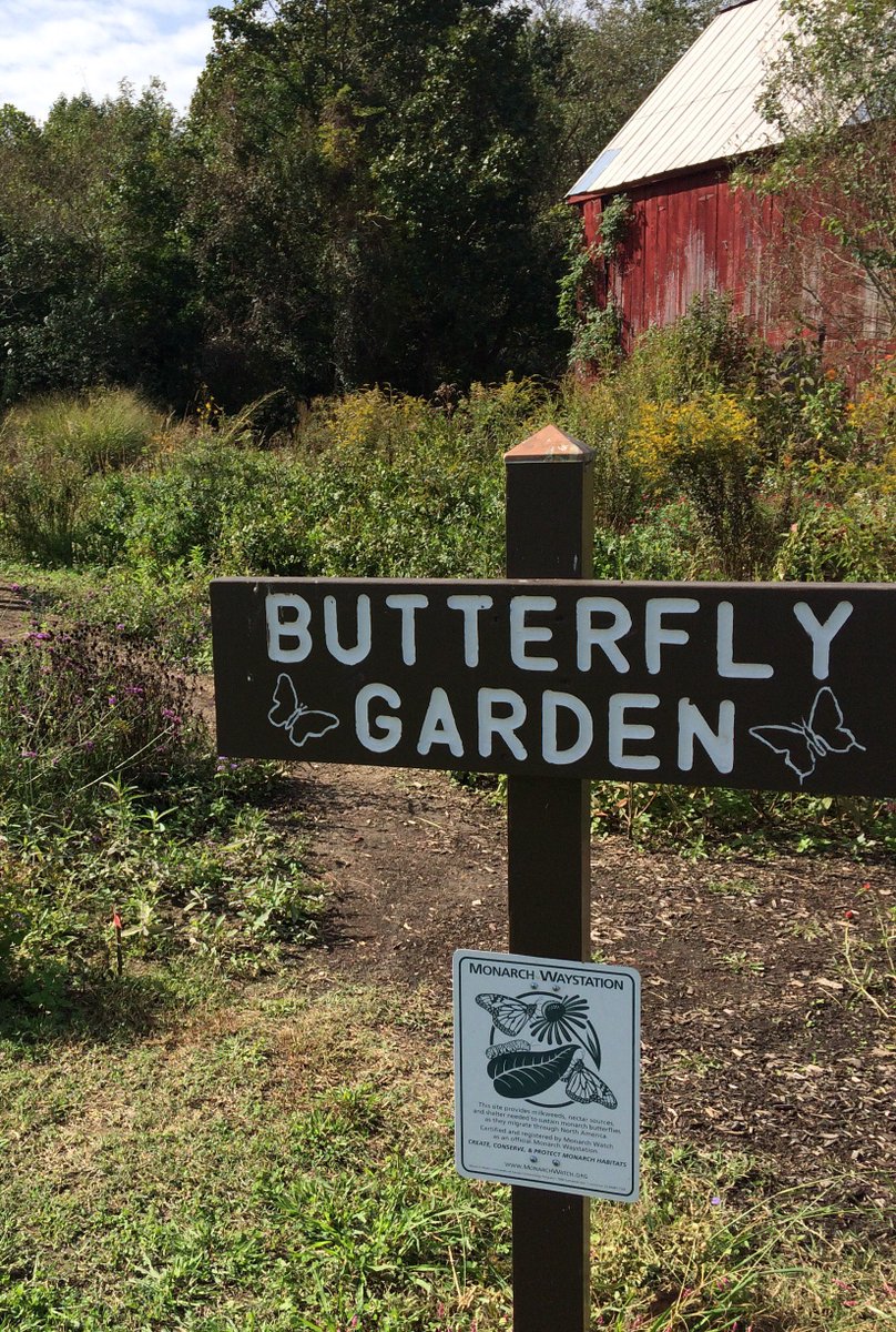 Pollinators's tweet photo. Members of the Pollinator Partnership team had the opportunity to visit @JugBayWs this week, and were able to check out some excellent #butterfly #habitat! These butterfly #gardens provide visiting pollinators with reliable sources of #nectar and tons of shelter! #NAPPC2018 https://t.co/yGdFIvO9ik