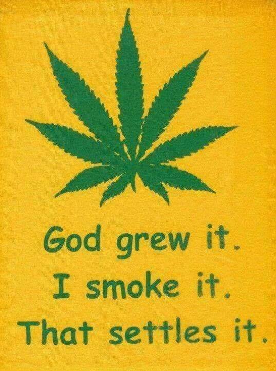 CannaWorld (@cannaworldsite) on Twitter photo 