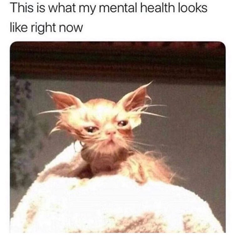 Couldn’t be more accurate