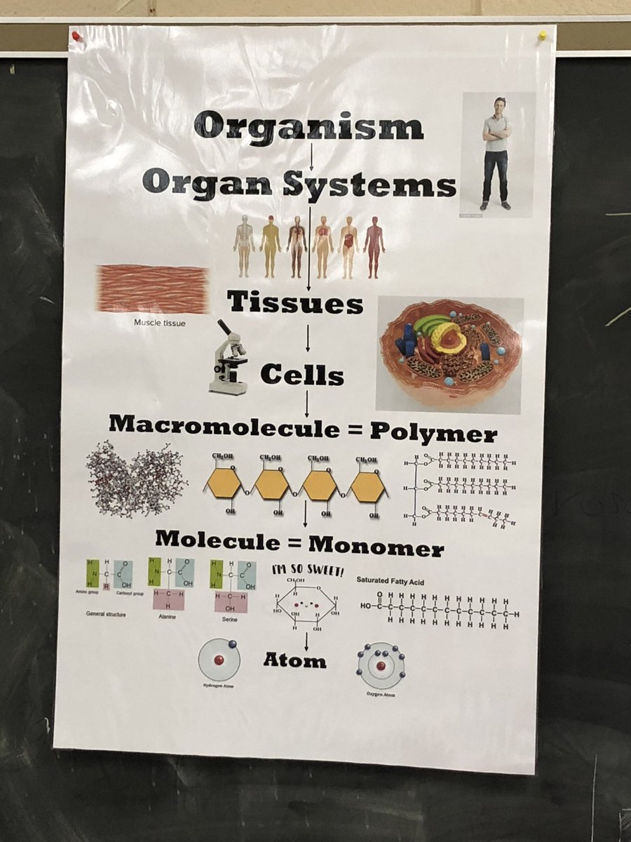 JMulhernBiology's tweet image. Bio Ss @hcpss_lrhs using academic language to compare models representing matter changes during chemical reactions #wordwall #anchorchart