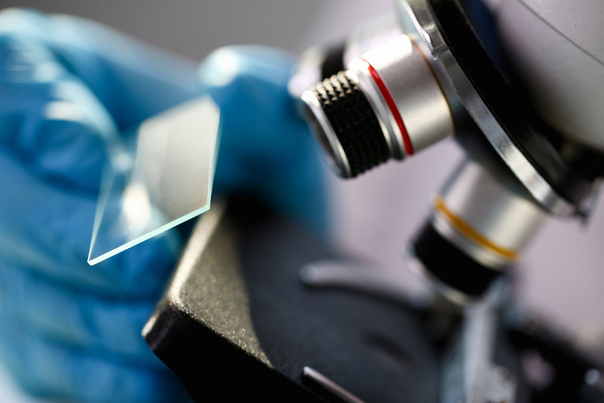 Bitcoin News tweet media