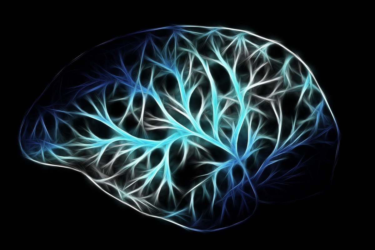APAPubJournals's tweet photo. New #MegaAnalysis: #biomarkers of substance dependence may be more useful if based on broader patterns of #brain function or structure vs. differences in unique brain regions alone. https://t.co/Q8Md4c8UT1
#alcohol #nicotine #cocaine #cannabis https://t.co/G8qPe1K0zY