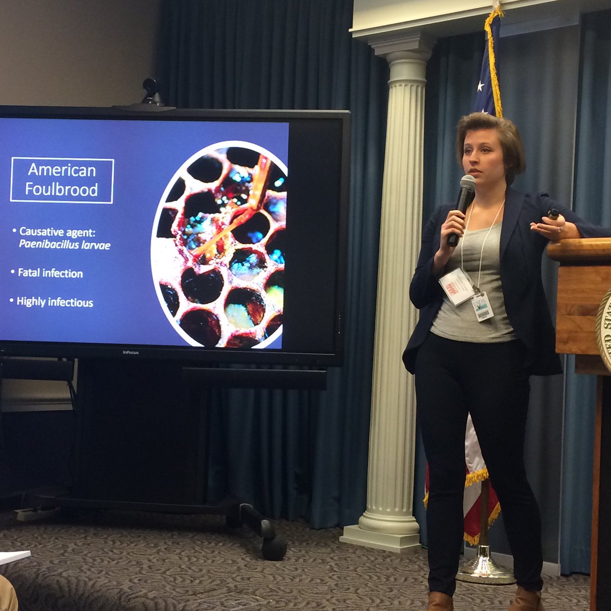 Pollinators's tweet photo. Madison Turner, ⁦@UofGuelph⁩, #NAPPC grant recipient presenting on her research on using natural products to control American #foulbrood in #honeybees #NAPPC2018 https://t.co/gqPaLs2neK