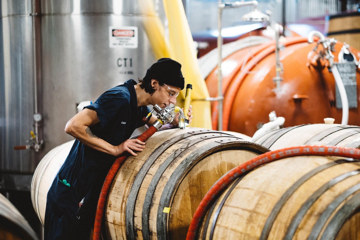 AllagashBrewing's tweet photo. The cat is out of the barrel: Coolship Resurgam is hitting our entire distro. This beer gets spontaneously fermented with wild yeast. We then age it for up to 3 years in oak barrels. The result is tart, complex, and completely unique. Bottles start shipping in November. https://t.co/jET4I0PZSh