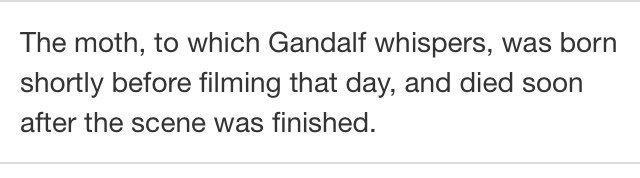 chuck ☀️🐦 tweet media