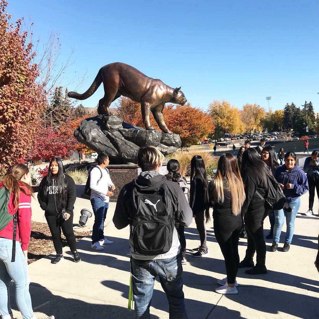 Pasco High School and Chiawana High School visiting WSU! Thank you Pasco School District and Cougar Connectors. Check out our CAMP staff and students later today with them #higheredgoals #pascohighschool #chiawanahighschool #wsucougars #wsuadmissions #migrantstories