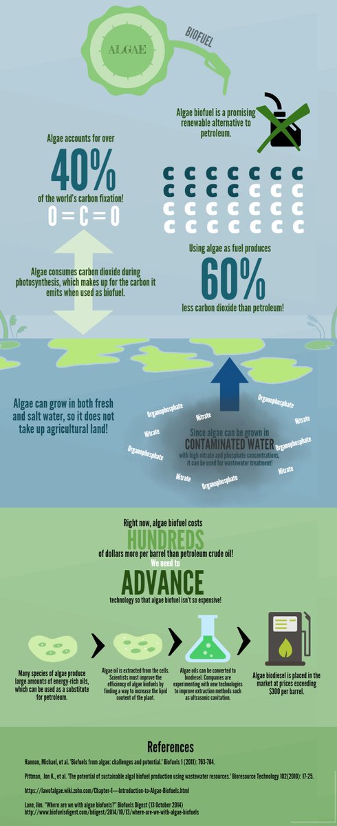 iconthin's tweet image. “The world is ready to be reintroduced to #algae” - great quote from #somethingmassive #Algae2018 

Infographic was created by students from Smithtown HS East in St. James, NY, as part of the U.S. Department of Energy-BioenergizeME Infographic Challenge.