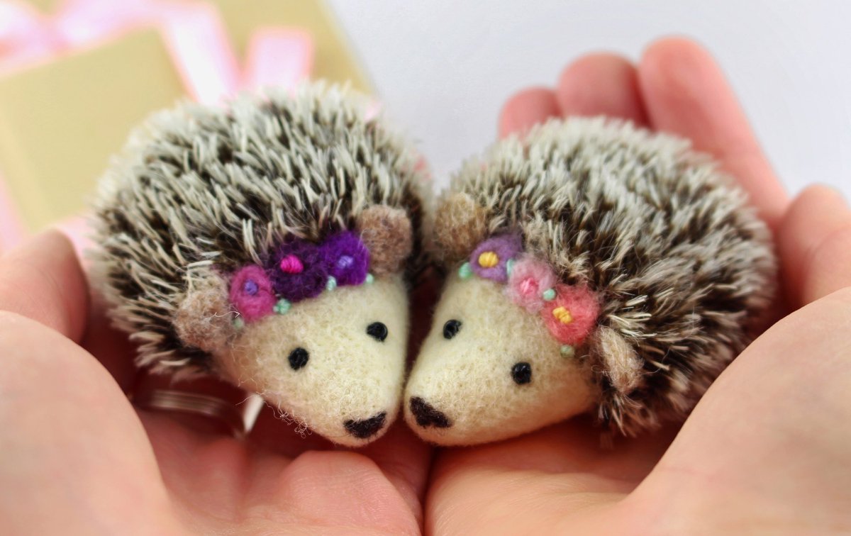 Any hedgehog lovers out there? I make these little hedgehog brooches to help raise money for the @HelpaHedgehog Hospital in Gloucestershire. So far I’ve raised £450 thank you for your help! 🦔🍂🍁 #handmadehour bit.ly/2t6oheu