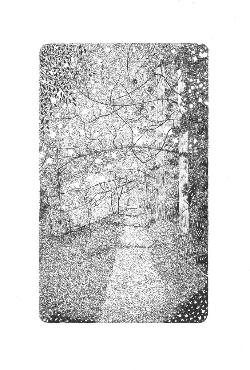 Claire_L_Leach's tweet photo. Hello #HandmadeHour, how are you all doing? I’ve got a nice little collection of woodland drawings built up, the most recent one I finished just last week. They are all available to purchase at https://t.co/fSFodZmY4S 🌿 https://t.co/o3CWwFIWo6