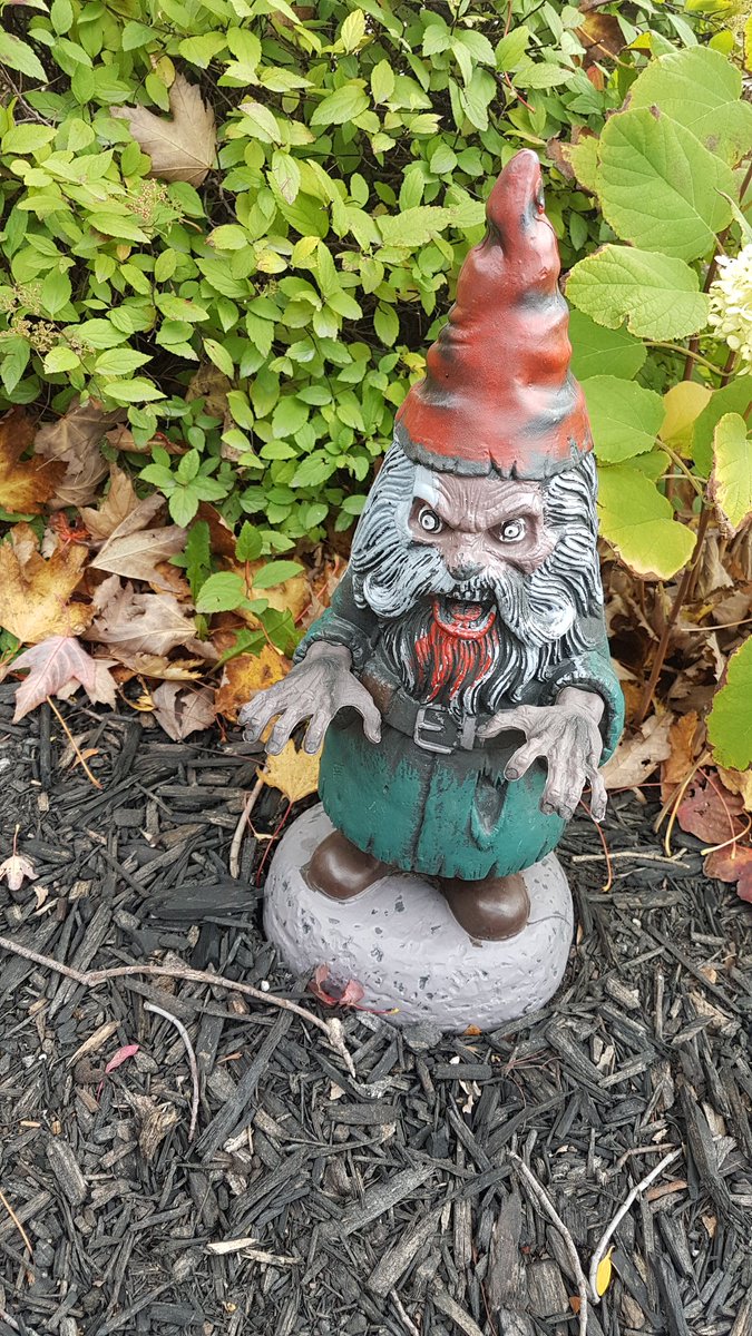 Pc Peter De Quintal On Twitter When One Of Your Garden Gnomes