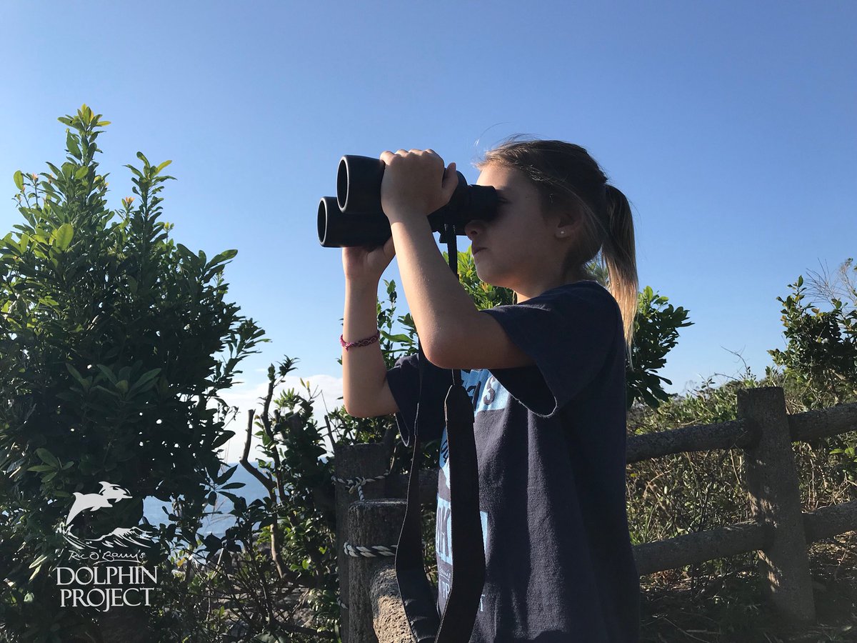 Taiji: Banger boats are out of sight, searching for dolphins far offshore
Oct. 18 2018 8:30 AM #dolphinproject