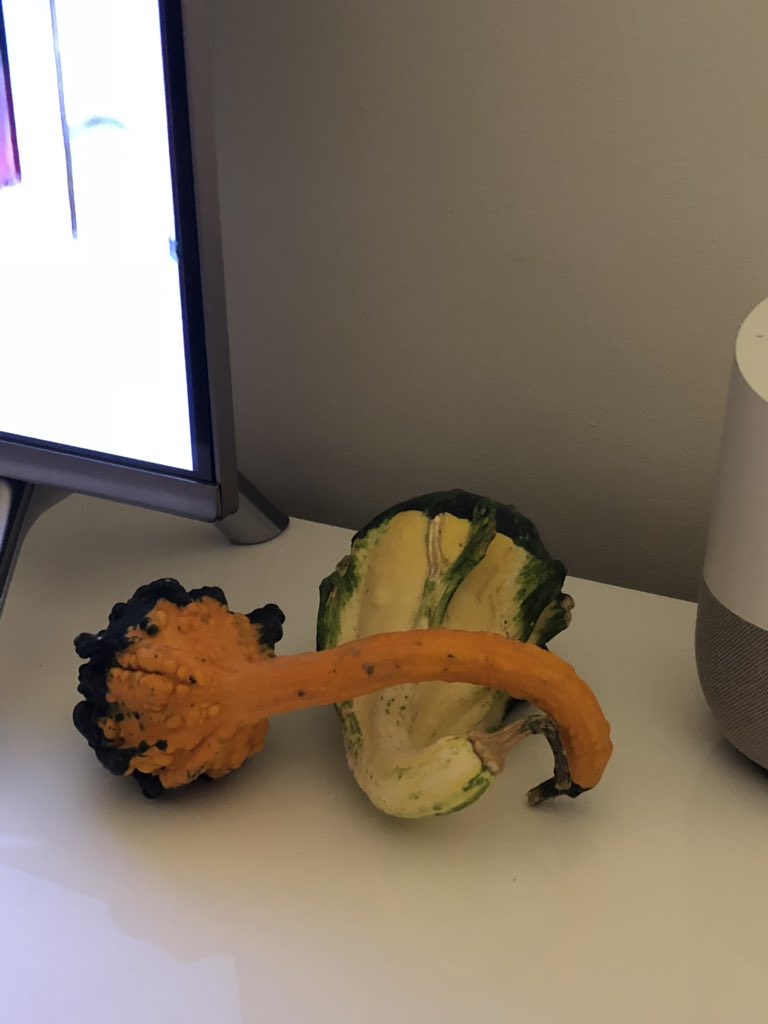 It’s that time of year again when my wife starts placing random vegetables I’ve never seen before around our apartment