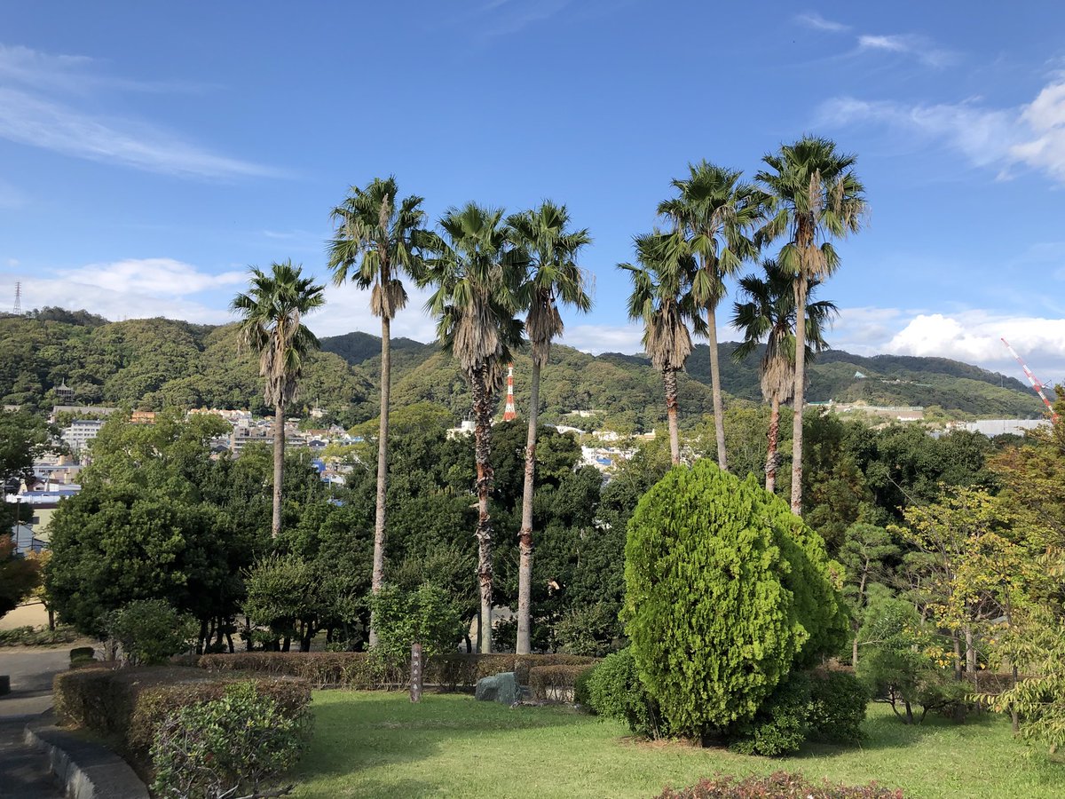 maskey13's tweet photo. 秋の大倉山公園。ちょっと南国的な雰囲気も。
#大倉山公園 
#もっこす食べたかったよ https://t.co/SzJ2EhSI0M