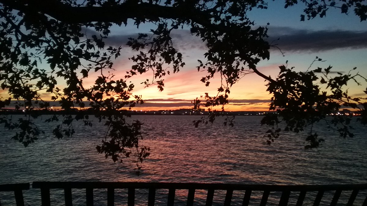 SustainableJC's tweet image. Temporary Moratorium By The JC Environmental Commission To Prevent The 84 Mature Trees At Society Hill From Being Cut Down - Will The Mayor Side With His Environmental Commission ? bit.ly/2Co9fEU #treespeech #trees #sustainable #jerseycity #climatechange