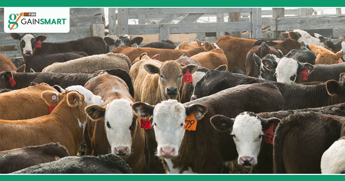 NRSworld (@NRSworld) | Twitter