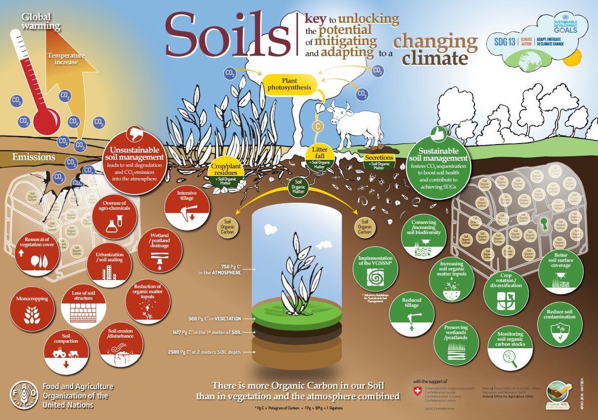 #innovative use of #satellite imagery is improving #agriculture in developing countries  <a href="/africasoils/">AfSIS</a>  bit.ly/2pXMxMx #goalkeepers18