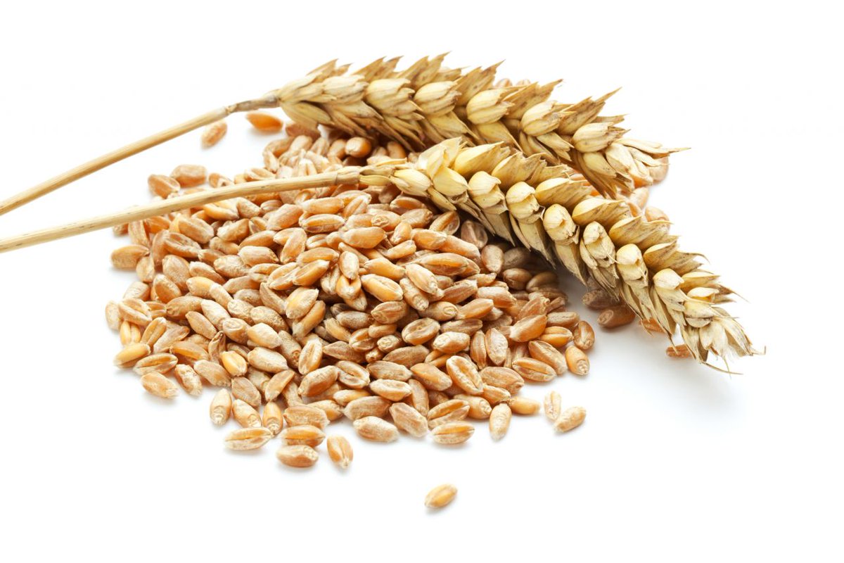 StoneVaultIB's tweet photo. Have you considered increasing the value per tonne on your crop insurance? With current record high prices it’s very important to cover any remaining viable crops for their true value this year. Give us a call at Carr McRae &amp; Associates 5382 0813. https://t.co/2Ct6azMs0D