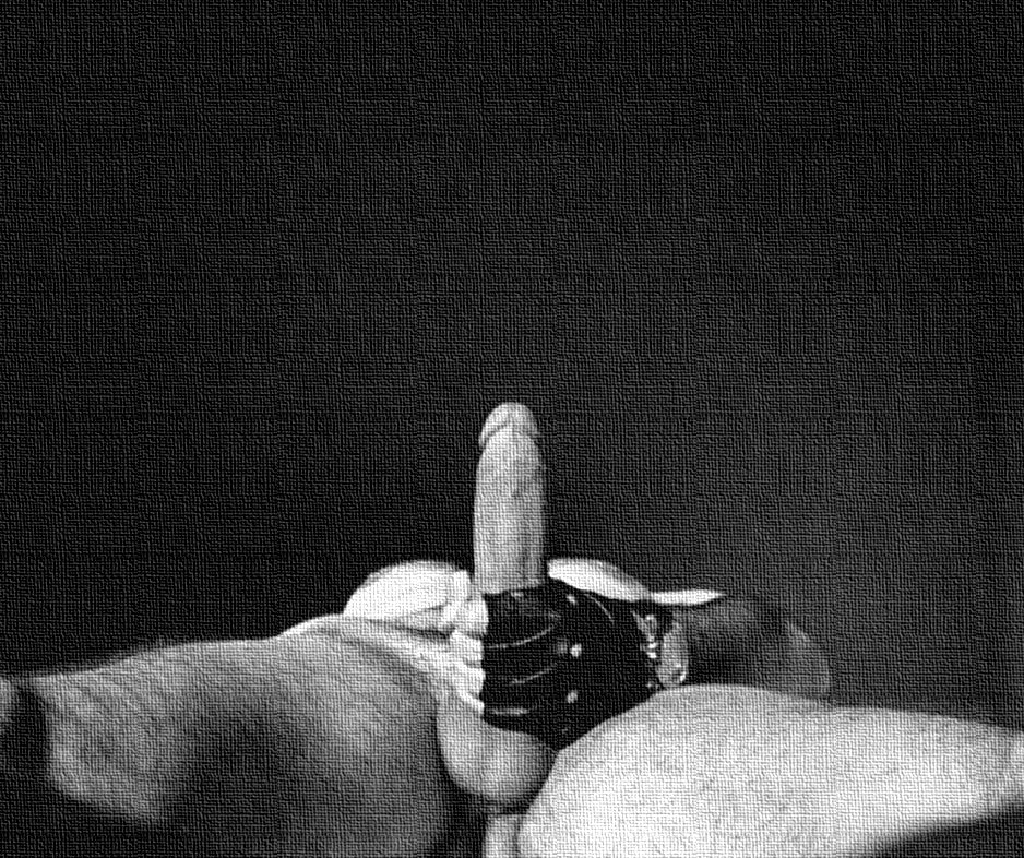 AnthonuFr's tweet photo. Allongé, enfin presque ! #PornoSoft #erection #exhib #penis #bite #HommeNu Lying down, well... almost ! #naked #cock #dick #NakedMan https://t.co/PzhO8CHxPb