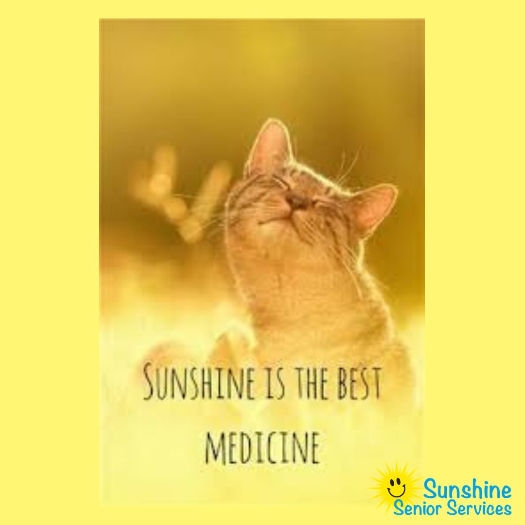 epub team coaching gemeinsam zum erfolg