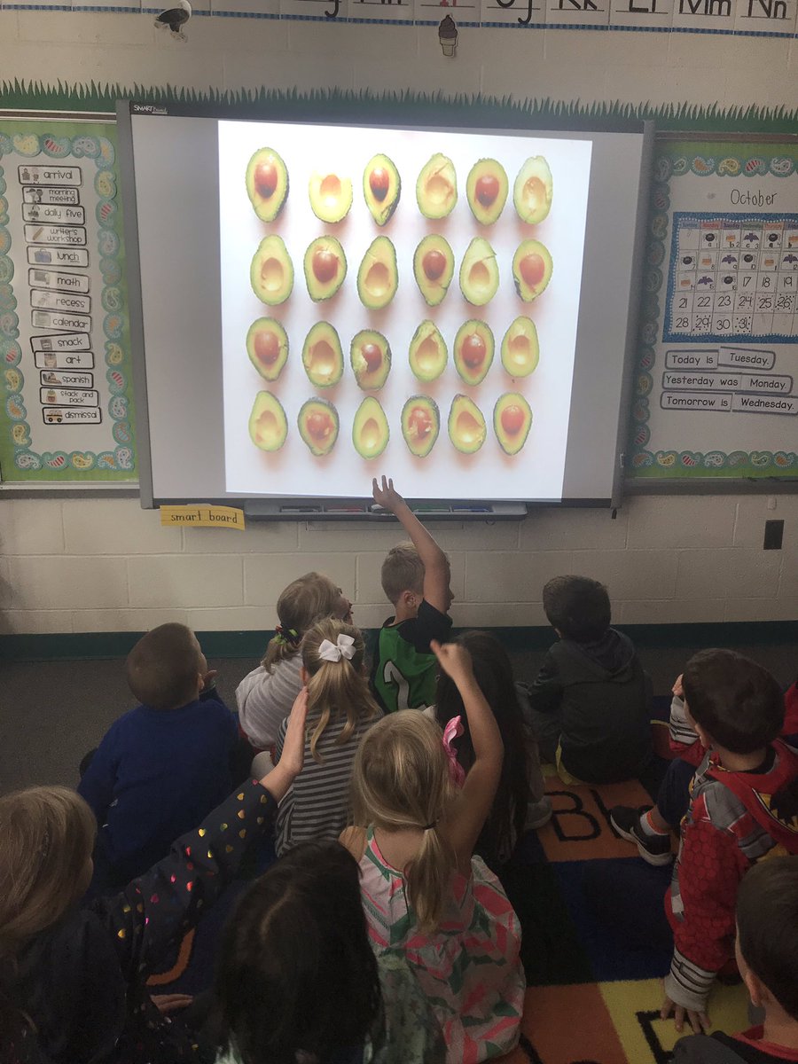 FirstITeach's tweet photo. How many do you see? @TuckPrinc @TuckahoeSchool #TuckahoeRocks https://t.co/a69trIuZ7q