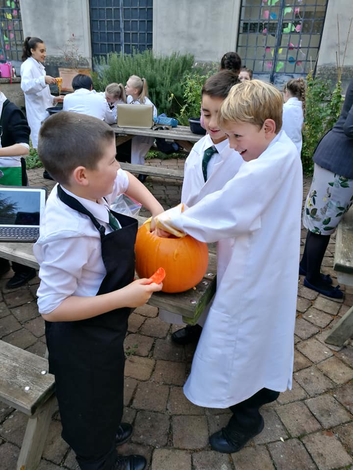 MontellaA1's tweet photo. Tonight's Gardening Club Challenge 7 teams, 7 pumpkins. Ready, Steady Carve. What a fantastic show of #fellowship all teams working together towards one goal, to carve the winning pumpkin @MyddeltonCol @Myddelton_Prep #getoutsidetheclassroom #wildtime #ProjectWildThing  #wildhour https://t.co/dL41KFn7z6