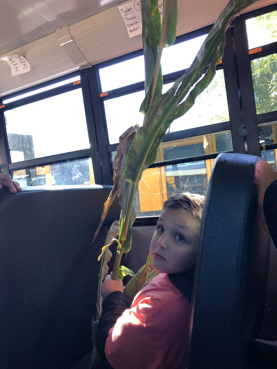 More pumpkin fun!! 🌽🎃🤣<a href="/MineolaUFSD/">Mineola UFSD</a> @MeadowDrMineola