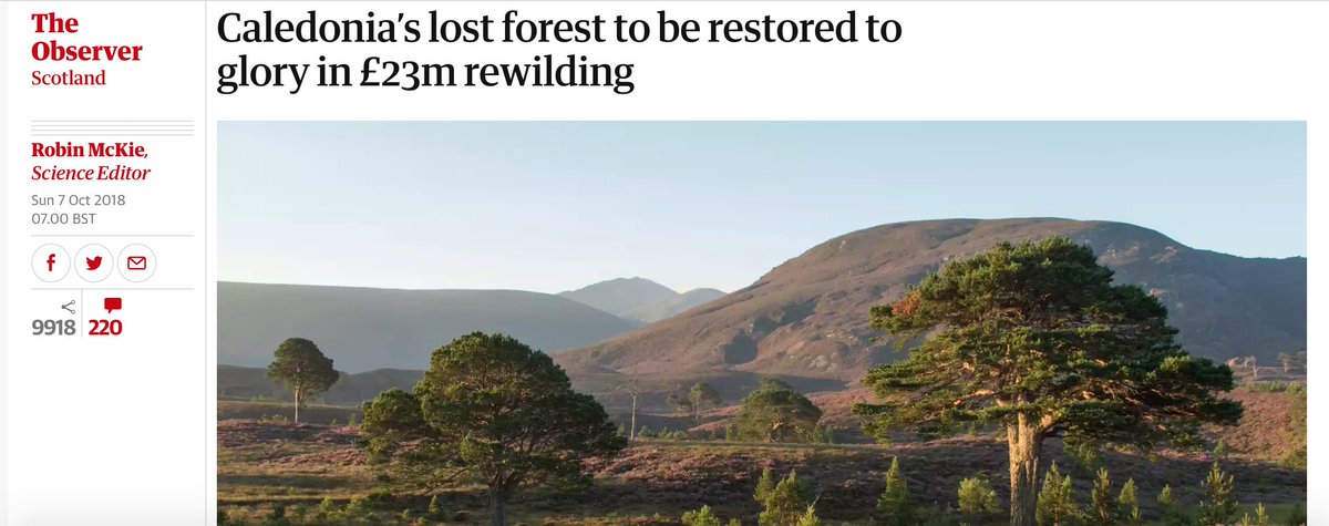 CitizenZoo's tweet photo. Excited to say that Alan Featherstone & his partner will be at the #rewilding conference to talk about their life's work to restore the ancient Caledonian forest! #treesforhope https://t.co/pt8XIPxnoJ Register b4 early birds end: https://t.co/WTb5VW6zXB ๐ฒ๐ฆ @NewsRewilding https://t.co/ZgZ0sUbBAJ