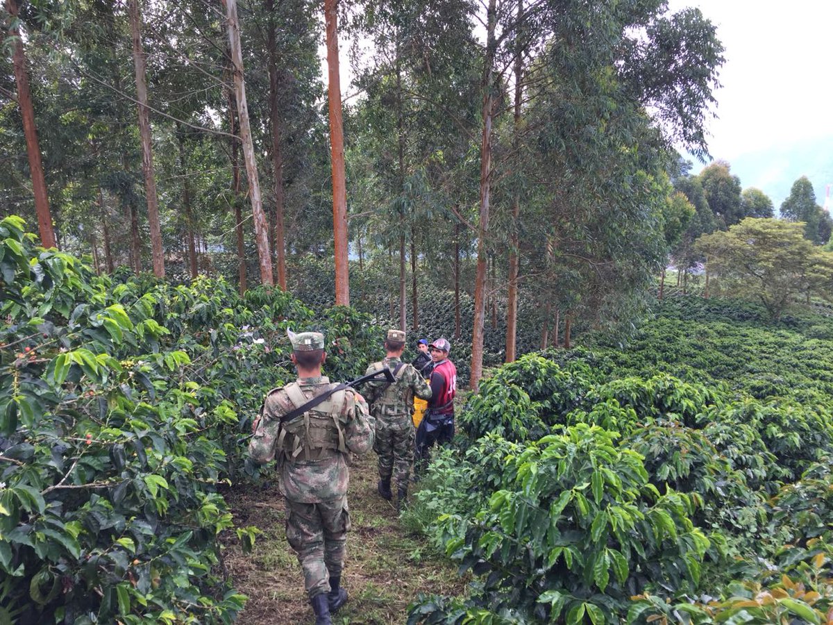 CESARROJAS76's tweet photo. Las tropas del #BatallónSanMateo continúan recorriendo los cafetales risaraldenses, acompañando a los recolectores, la #CosechaCafetera es la época más importante para ellos por eso estamos presentes #PlanCosecha  #PlanHorus https://t.co/ul0R3n4VV6