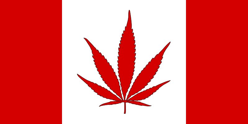 Happy 4:20 Canada!
#canadacannabis #420canada #weedthenorth